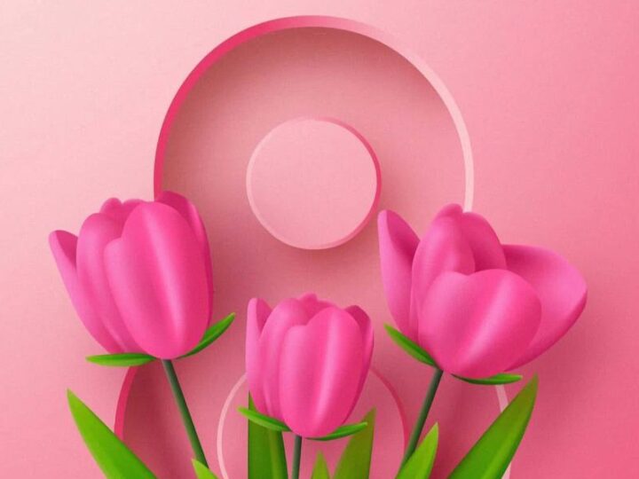 Аяулы аналар! Құрметті қыз-келіншектер!