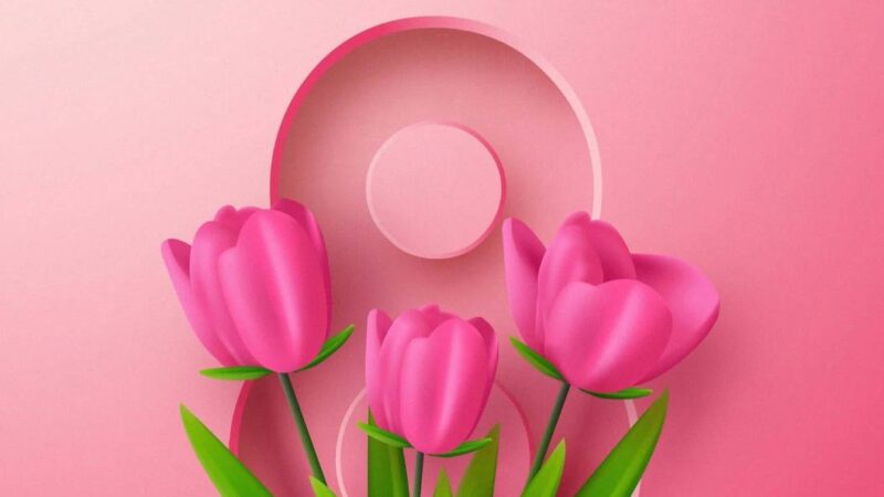 Аяулы аналар! Құрметті қыз-келіншектер!