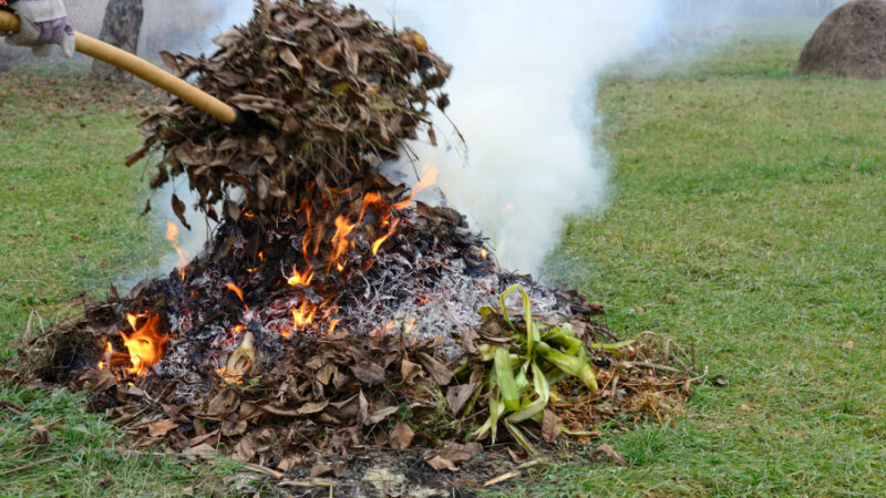 Қоқыс жағу – заң бұзушылық және қауіп көзі