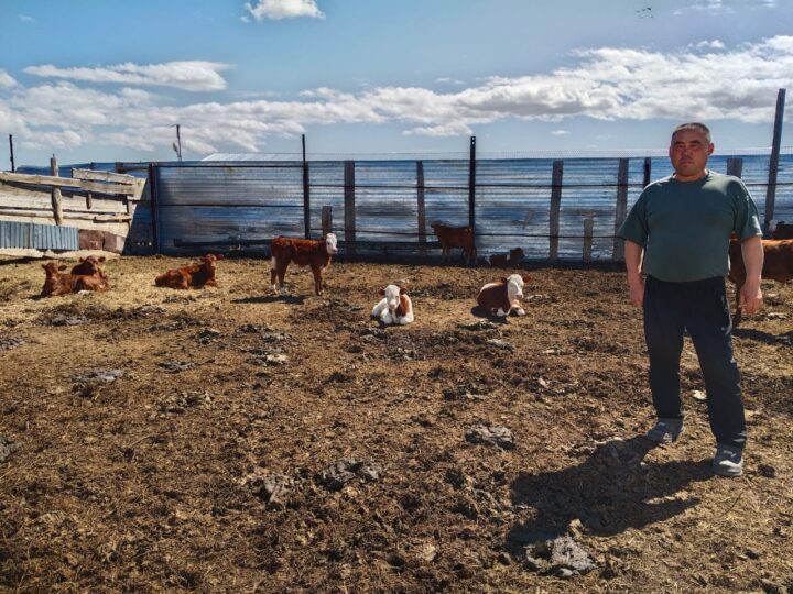 «Ауыл аманаты» жобасы – тұрақты табысқа жол ашты