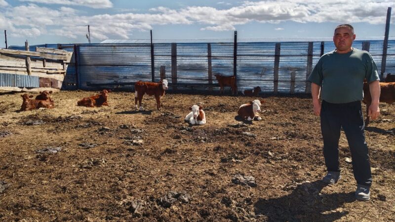 «Ауыл аманаты» жобасы – тұрақты табысқа жол ашты