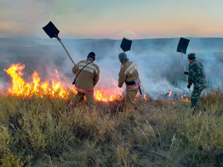Дала өртінің алдын алу – ортақ міндет