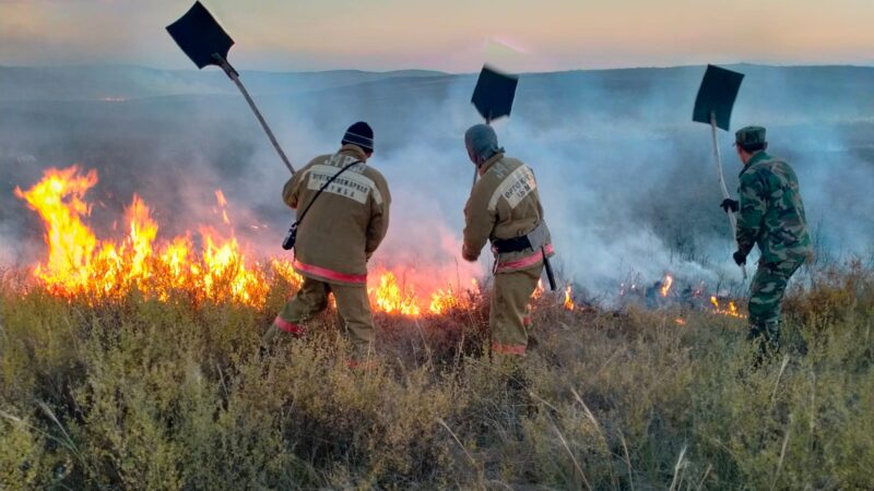 Дала өртінің алдын алу – ортақ міндет