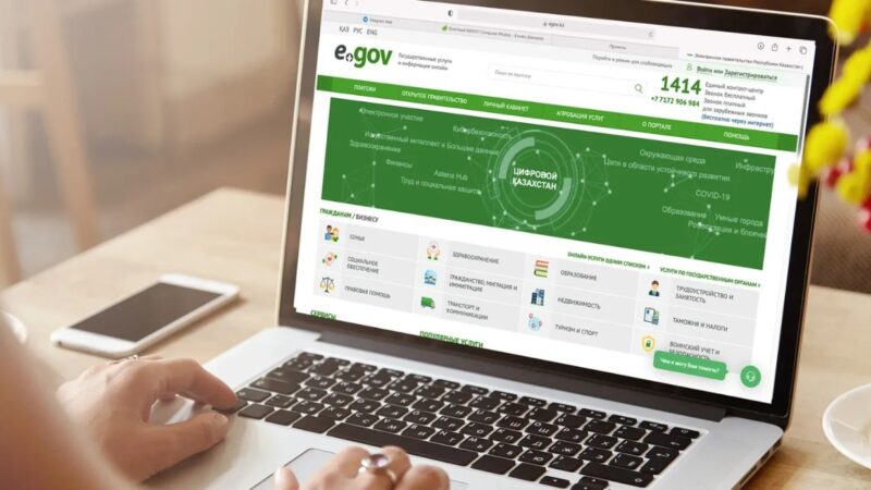 Мемлекеттік қызмет көрсетудің бақылау нәтижесі