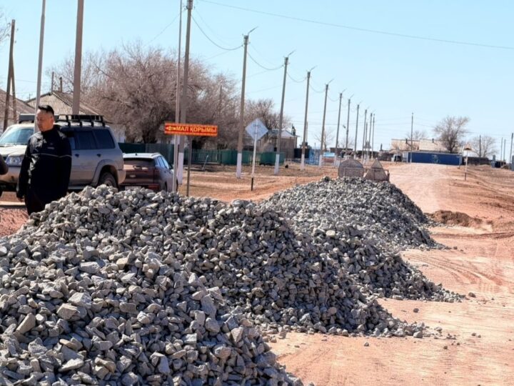 Борсеңгір–Теректі жолы: ауыл шаруашылығы мен әлеуметтік дамудың жаңа көкжиегі