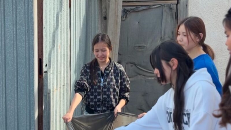 «Таза Қазақстан»: «Таза аула» жобасы