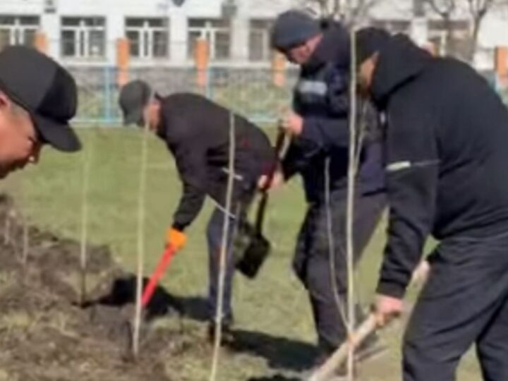 «Таза аула және ағаш егу» акциясы өтті