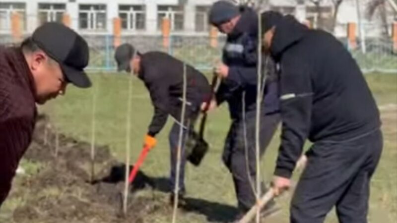 «Таза аула және ағаш егу» акциясы өтті