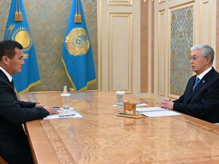 Мемлекет басшысы Премьер-Министрдің бірінші орынбасары Нұрлыбек Нәлібаевты қабылдады