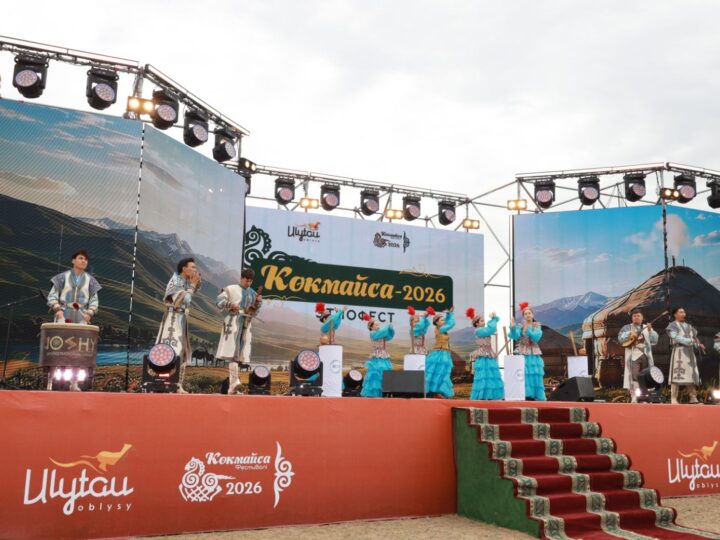 «Көкмайса»: Ұлытау облысында бір мезетте 500 бие сауылды