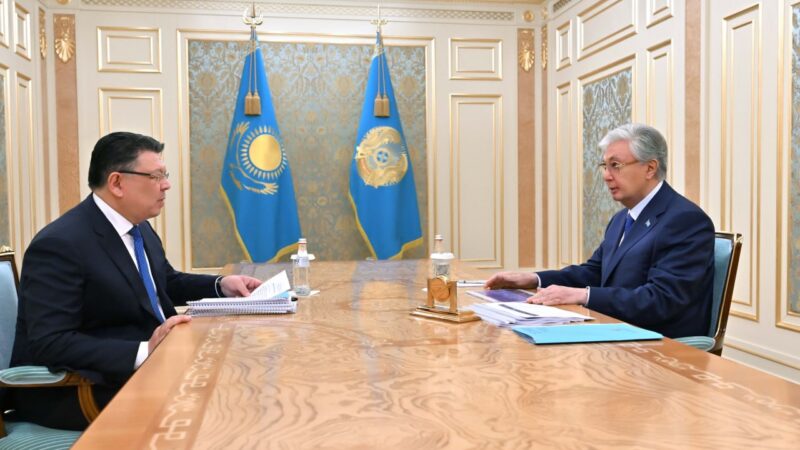 Мемлекет басшысы Премьер-Министрдің орынбасары Қанат Бозымбаевты қабылдады