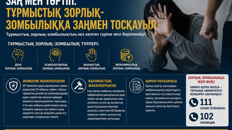 Заң мен тәртіп: тұрмыстық зорлық-зомбылыққа заңмен тосқауыл