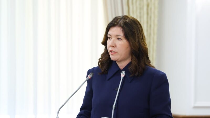 Қазақстанда бастауыш сыныптардағы оқыту жүйесі жаңартылады: жүктеме азайып, базалық білімге басымдық беріледі