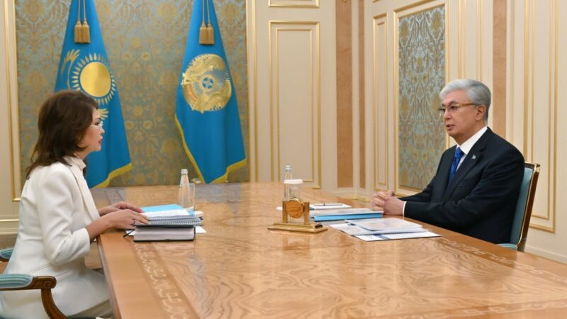 Мемлекет басшысы Премьер-Министрдің орынбасары – Мәдениет және ақпарат министрі Аида Балаеваны қабылдады
