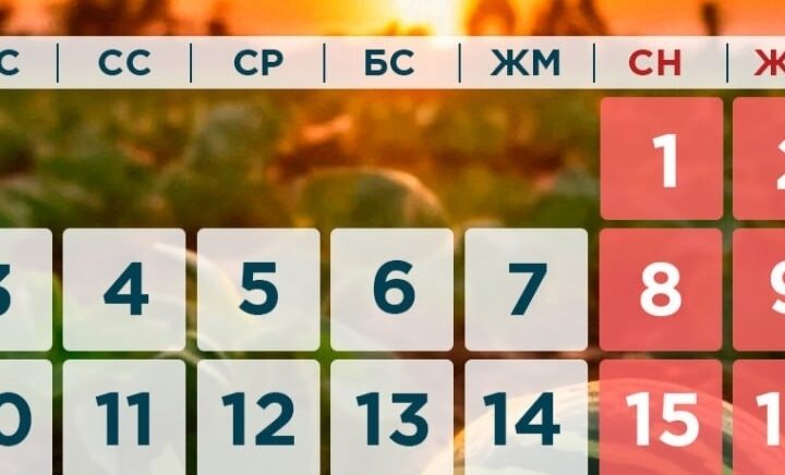 Қазақстандықтар тамыз айында қанша күн демалады?