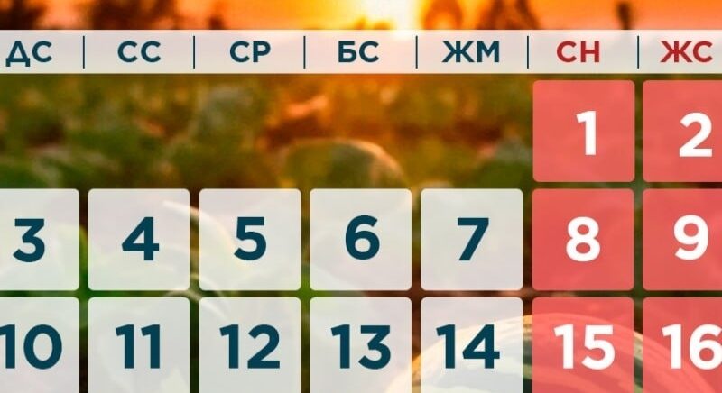 Қазақстандықтар тамыз айында қанша күн демалады?