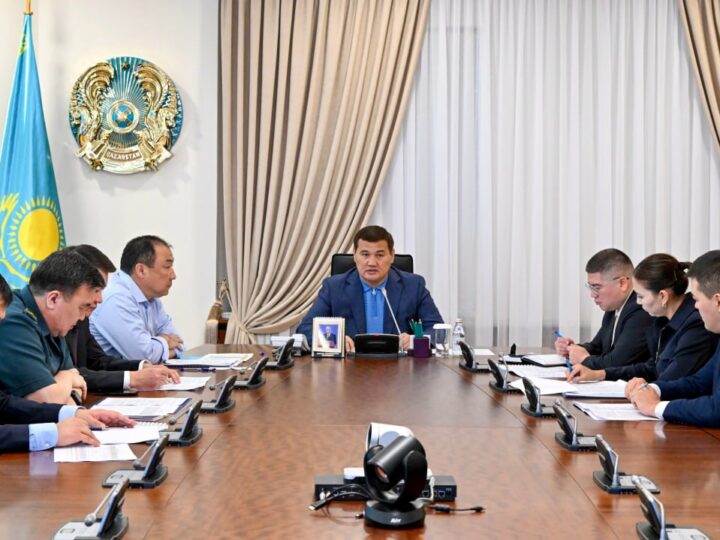 Үкіметте мемлекеттік шекарадағы автокөлік өткізу пункттеріндегі жағдай бойынша жедел кеңес өтті