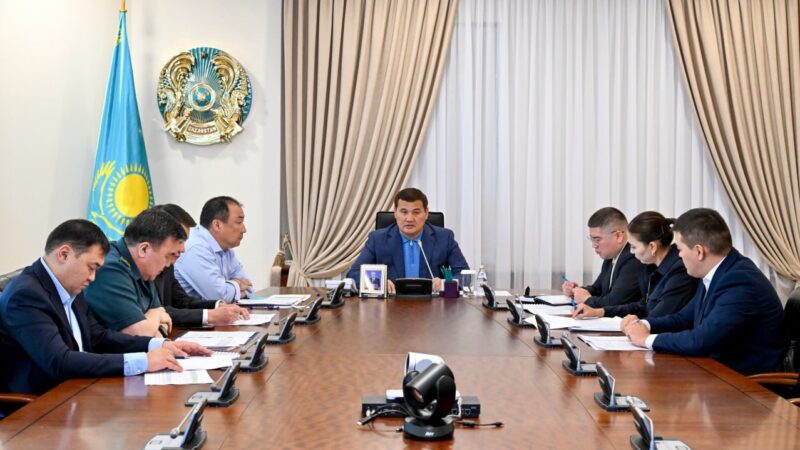Үкіметте мемлекеттік шекарадағы автокөлік өткізу пункттеріндегі жағдай бойынша жедел кеңес өтті