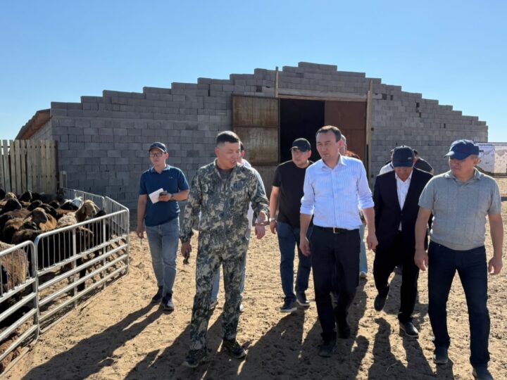Есет Байкен жол жөндеу жұмыстары мен ауылдық елді мекендердің жай-күйін бақылады