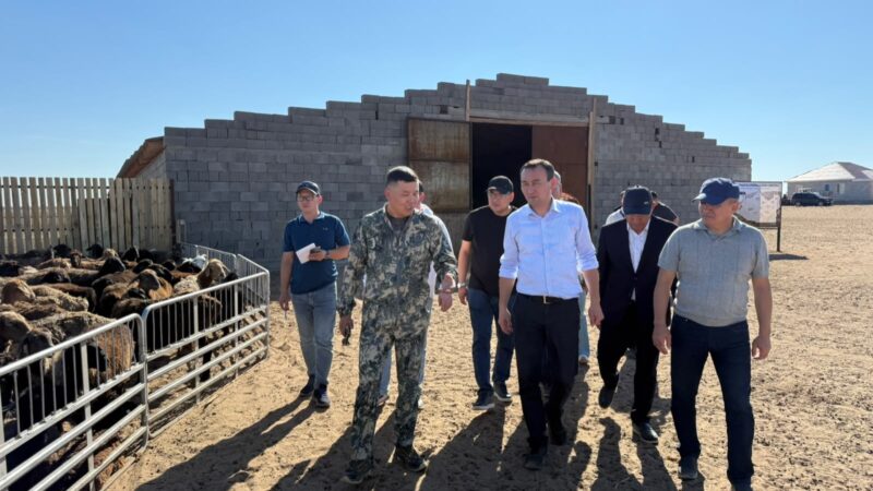 Есет Байкен жол жөндеу жұмыстары мен ауылдық елді мекендердің жай-күйін бақылады