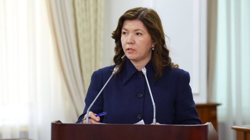 Қазақстандағы оқу бағдарламалары мен білім беру стандарттары жаңа Конституцияның нормалары бойынша қайта қаралды