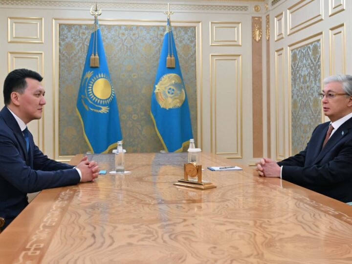 Мемлекет басшысы Вице-Президент Ерлан Қаринді қабылдады