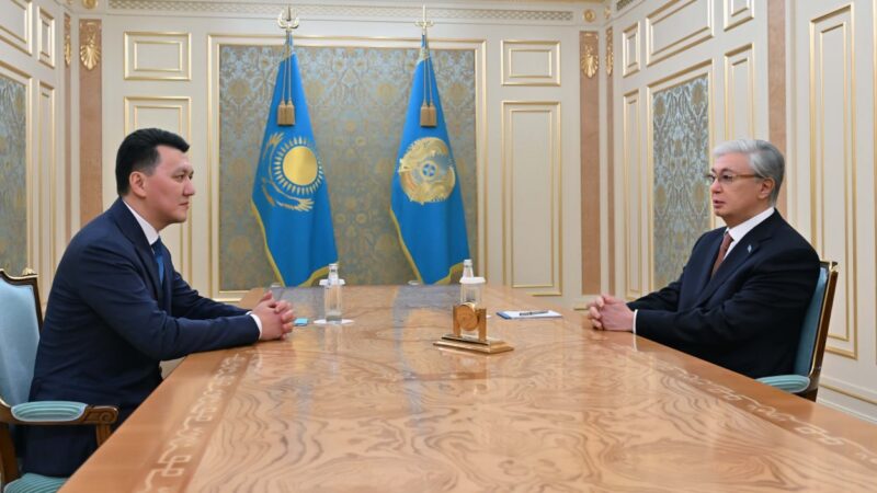 Мемлекет басшысы Вице-Президент Ерлан Қаринді қабылдады