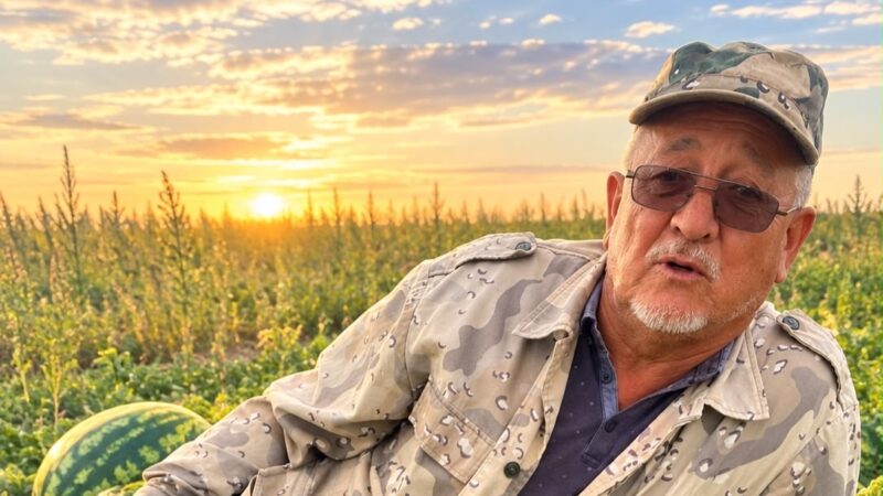 Пионер қарбызы – ауылдың берекелі бренді