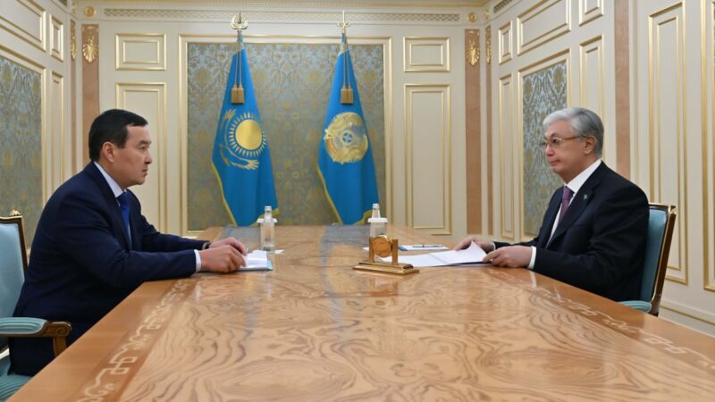 Мемлекет басшысы Жоғары аудиторлық палатаның төрағасы Әлихан Смайыловты қабылдады