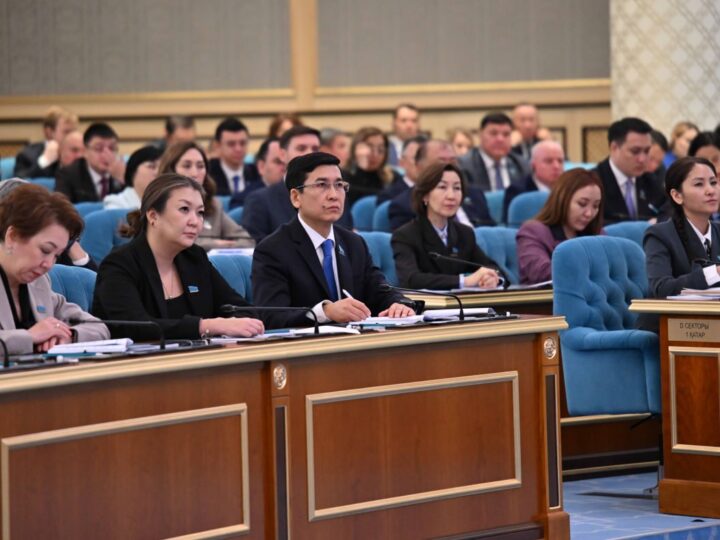 Президент бизнесті тексеруге 2027 жылдың 1 қаңтарынан бастап үш жылдық мораторий енгізуді тапсырды