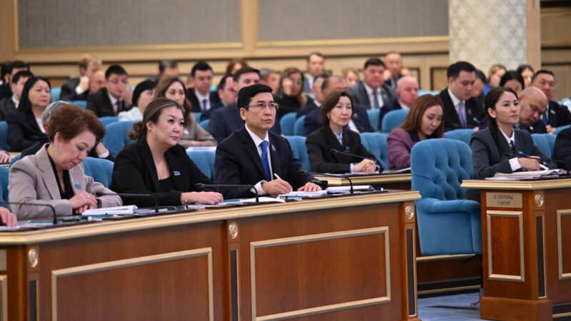 Президент бизнесті тексеруге 2027 жылдың 1 қаңтарынан бастап үш жылдық мораторий енгізуді тапсырды